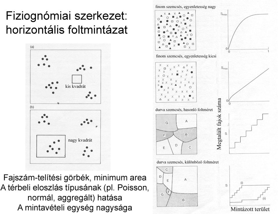 area A térbeli eloszlás típusának (pl.