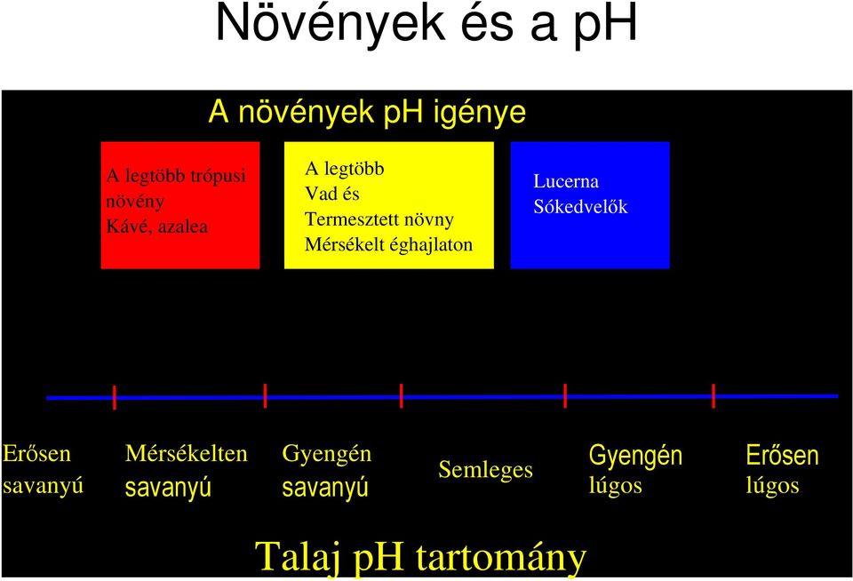 Lucerna Sókedvelık <4 5.5 6.5 7.5 8.