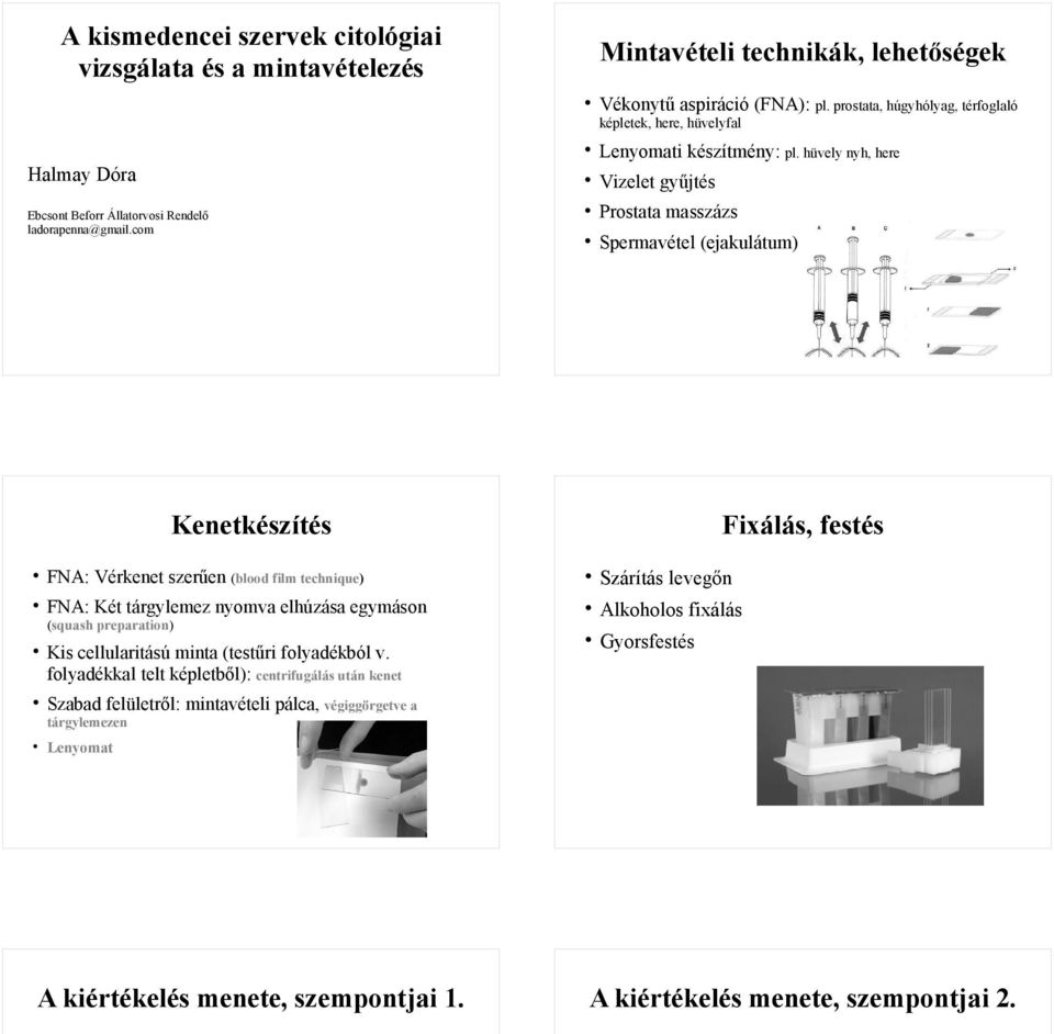 hüvely nyh, here Vizelet gyűjtés Prostata masszázs Spermavétel (ejakulátum) Kenetkészítés FNA: Vérkenet szerűen (blood film technique) FNA: Két tárgylemez nyomva elhúzása egymáson (squash