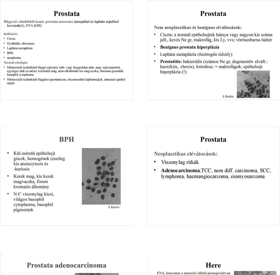 alak, nagy sejtcsoportok, egységes alak és méret, kerekded mag, nem elkülönülő kis magvacska, finoman granulált, basophil cytoplasma Mintavételi