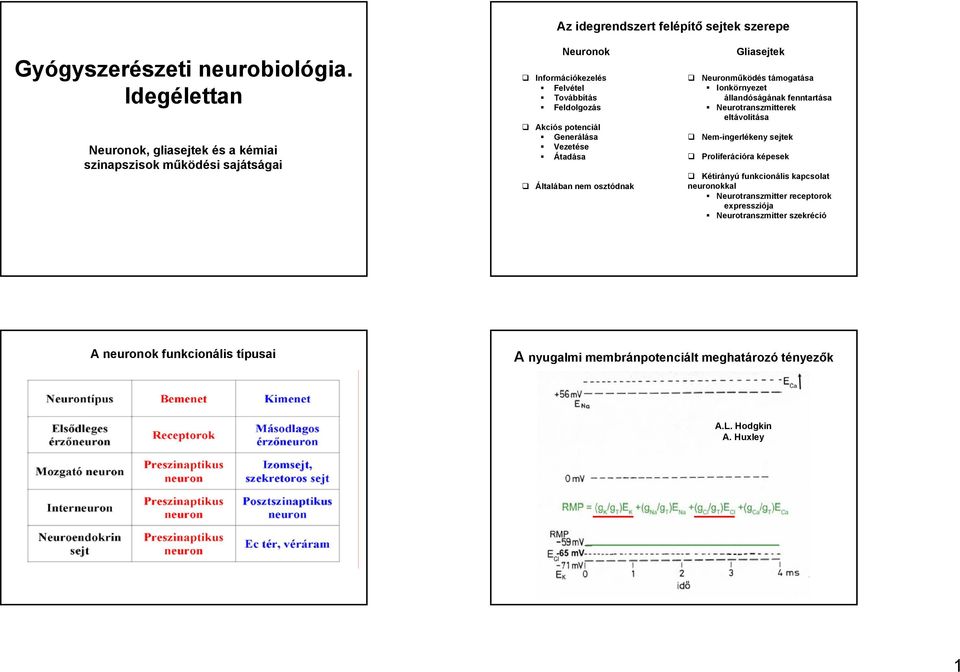 Generálása Vezetése Átadása Általában nem osztódnak Gliasejtek Neuronműködés támogatása Ionkörnyezet állandóságának fenntartása Neurotranszmitterek eltávolítása