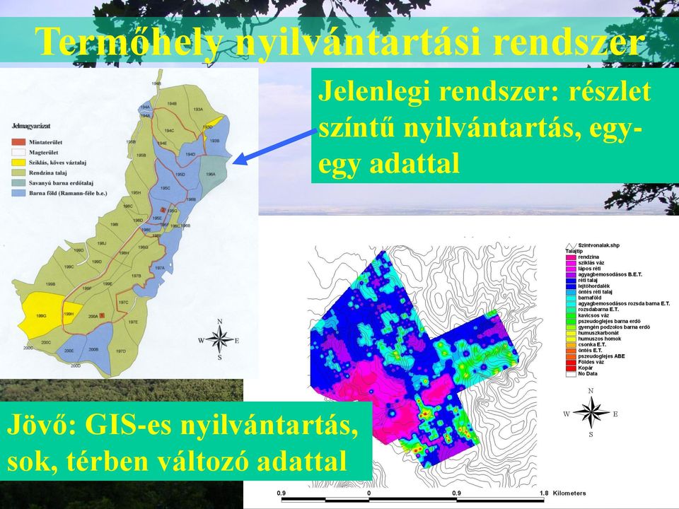 nyilvántartás, egyegy adattal Jövő: