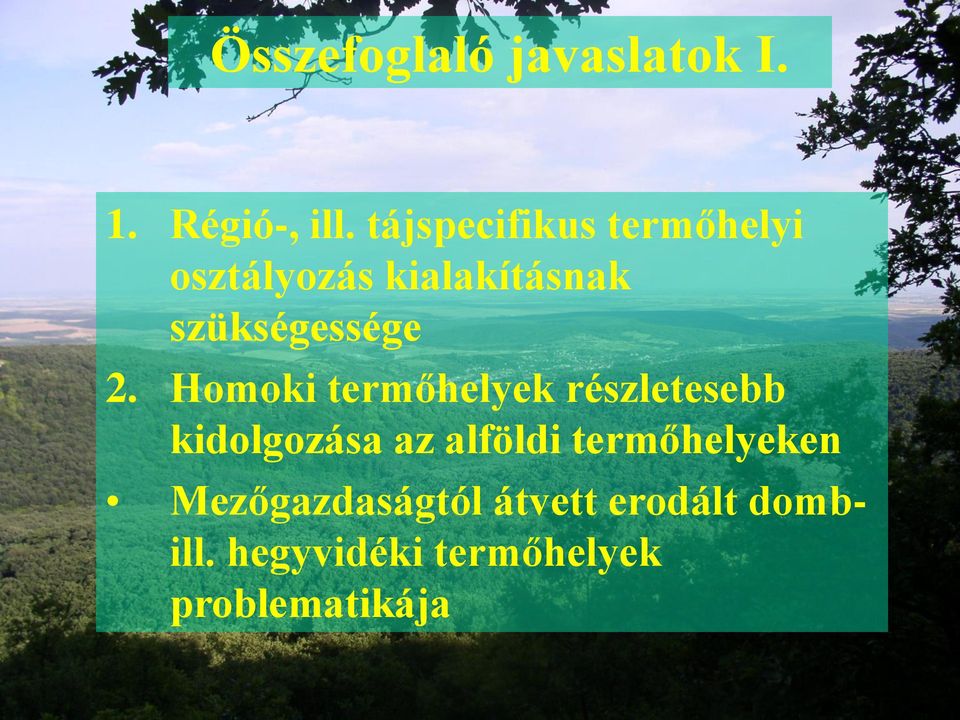 2. Homoki termőhelyek részletesebb kidolgozása az alföldi