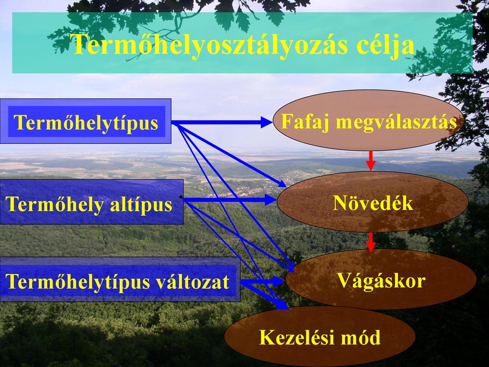 megválasztás Termőhely altípus