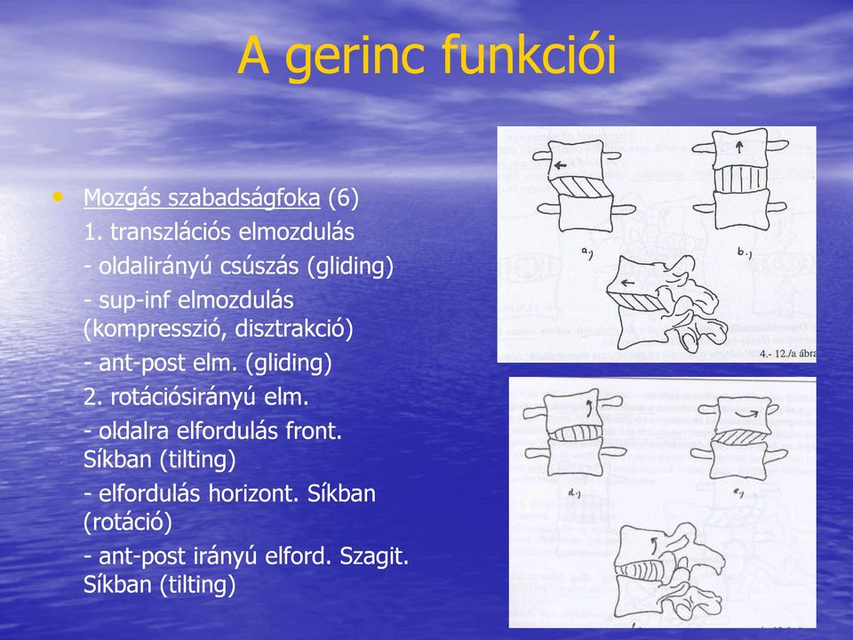 (kompresszió, disztrakció) - antant-post elm. (gliding) 2. rotációsirányú elm.