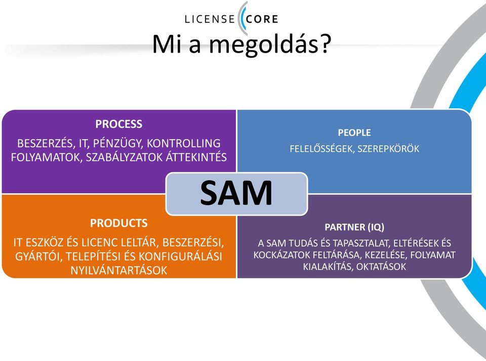 FELELŐSSÉGEK, SZEREPKÖRÖK SAM PRODUCTS IT ESZKÖZ ÉS LICENC LELTÁR, BESZERZÉSI, GYÁRTÓI,