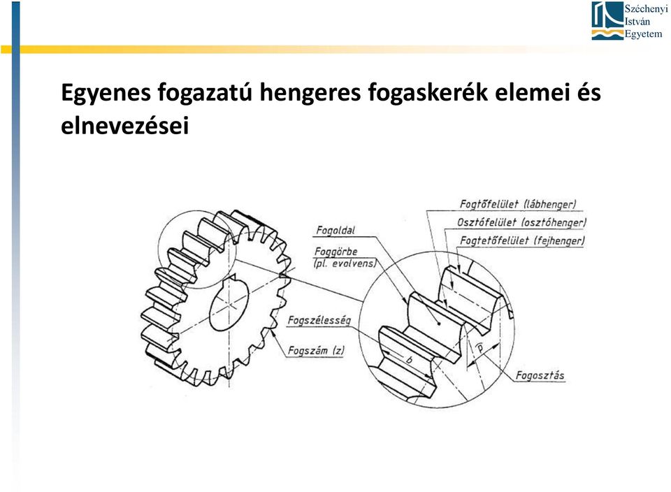 fogaskerék