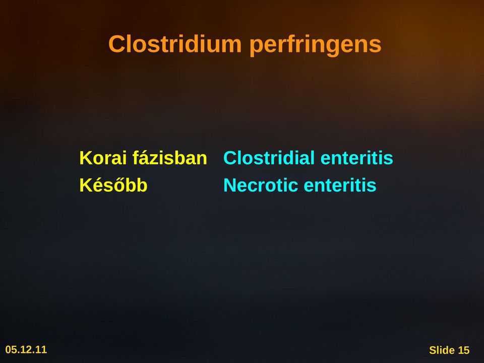 Clostridial enteritis