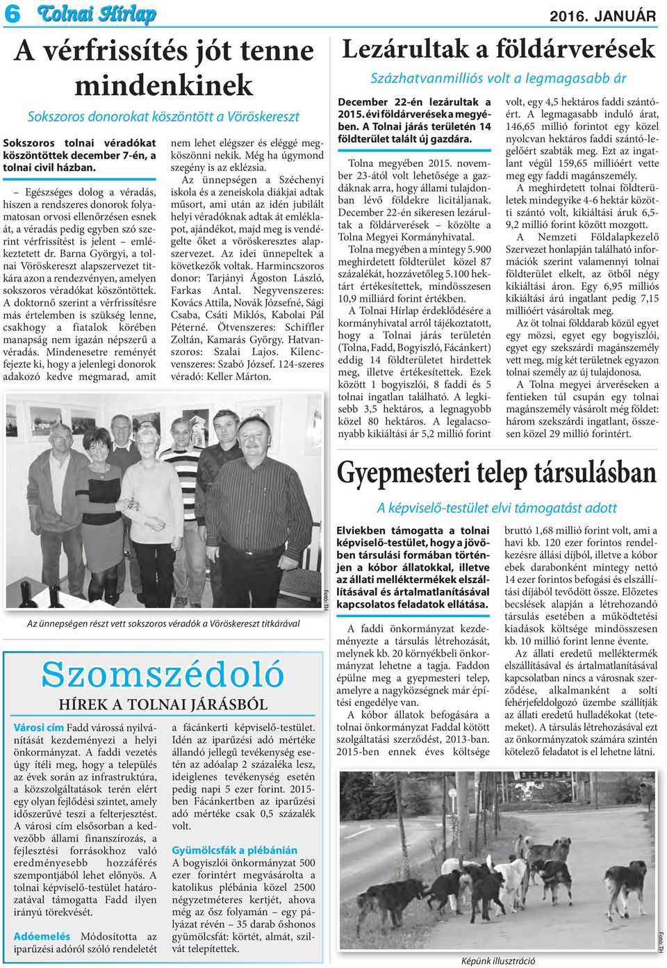 Barna Györgyi, a tolnai Vöröskereszt alapszervezet titkára azon a rendezvényen, amelyen sokszoros véradókat köszöntöttek.