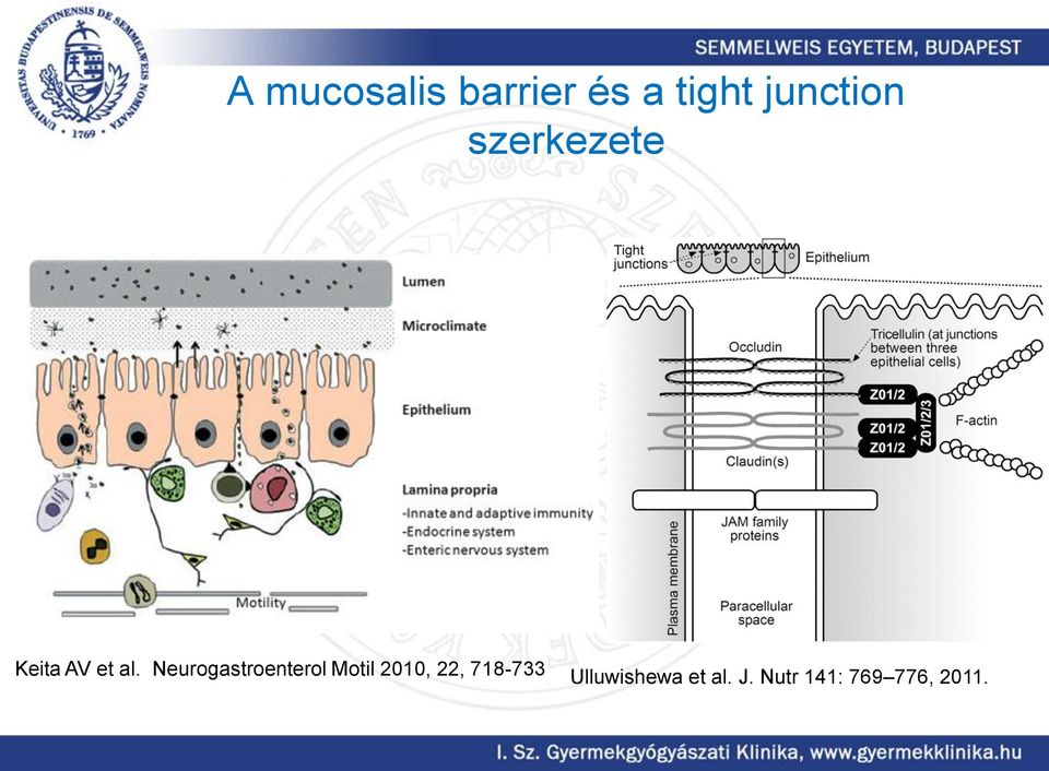 Neurogastroenterol Motil 2010, 22,