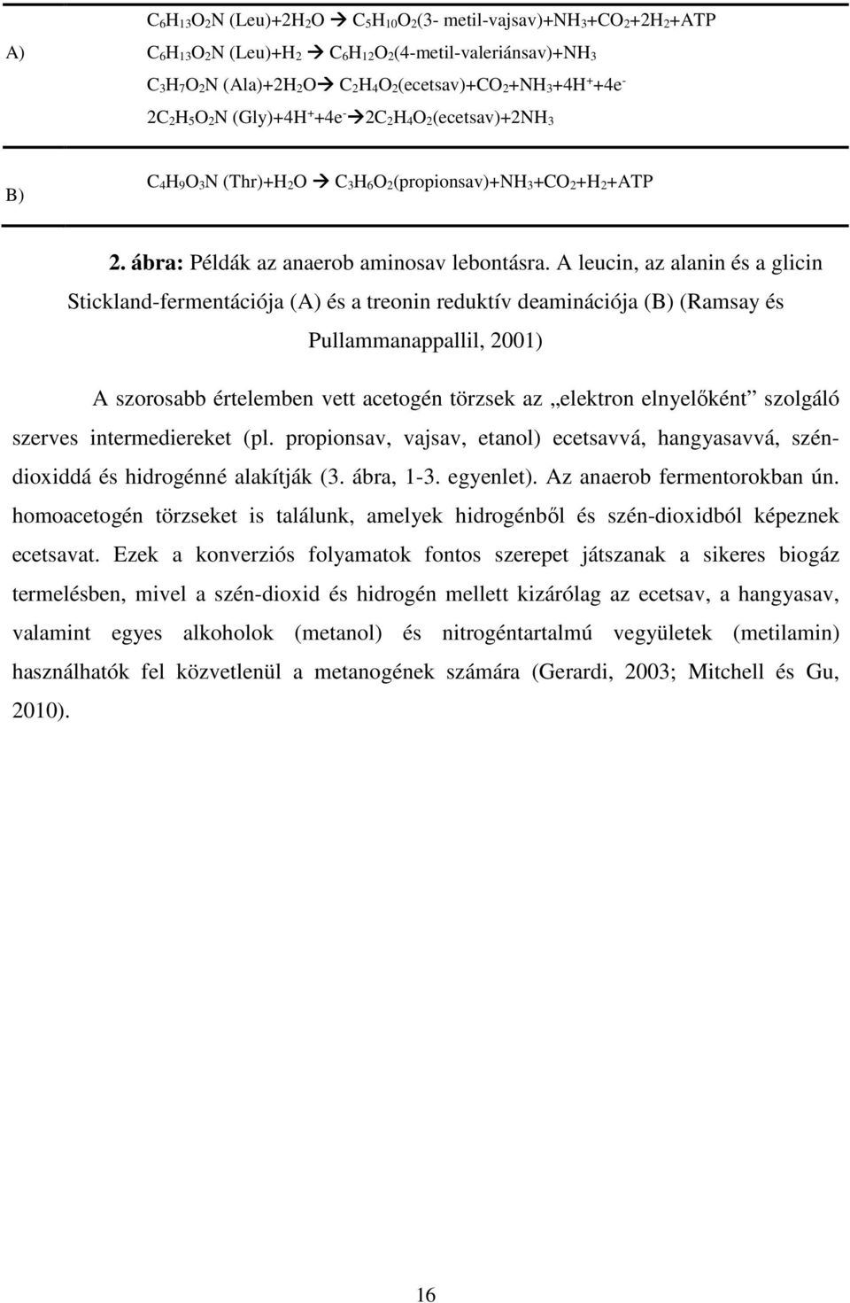A leucin, az alanin és a glicin Stickland-fermentációja (A) és a treonin reduktív deaminációja (B) (Ramsay és Pullammanappallil, 2001) A szorosabb értelemben vett acetogén törzsek az elektron