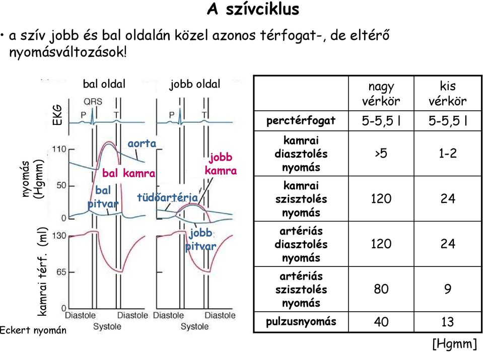 pitvar aorta tüdıartéria jobb kamra kamrai diasztolés nyomás kamrai szisztolés nyomás >5 120 1-2 24 kamrai