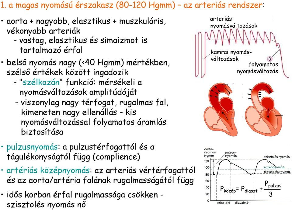 kis nyomásváltozással folyamatos áramlás biztosítása pulzusnyomás: a pulzustérfogattól és a tágulékonyságtól függ (complience) artériás középnyomás: az arteriás vértérfogattól és az aorta/artéria