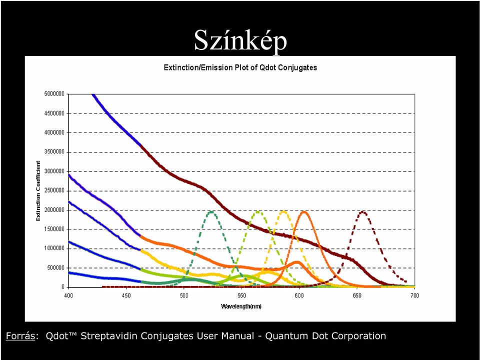 Conjugates User