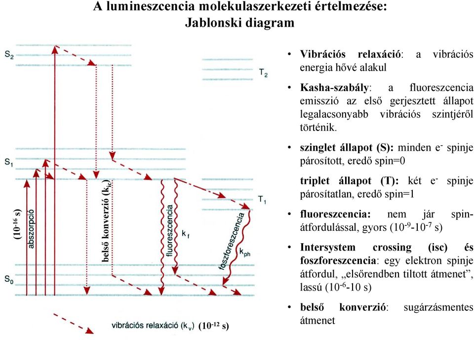 (10-16 s) belső konverzió (k ic ) intersystem crossing S T (k isc ) triplet állapot (T): két e - spinje párosítatlan, eredő spin=1 fluoreszcencia: nem jár