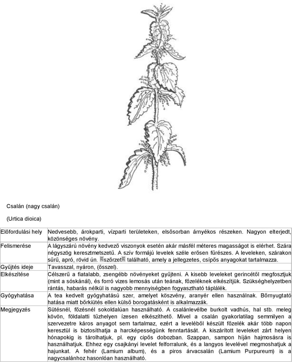 A leveleken, szárakon sűrű, apró, rövid ún. szőrzet található, amely a jellegzetes, csípős anyagokat tartalmazza. Tavasszal, nyáron, (ősszel). Célszerű a fiatalabb, zsengébb növényeket gyűjteni.