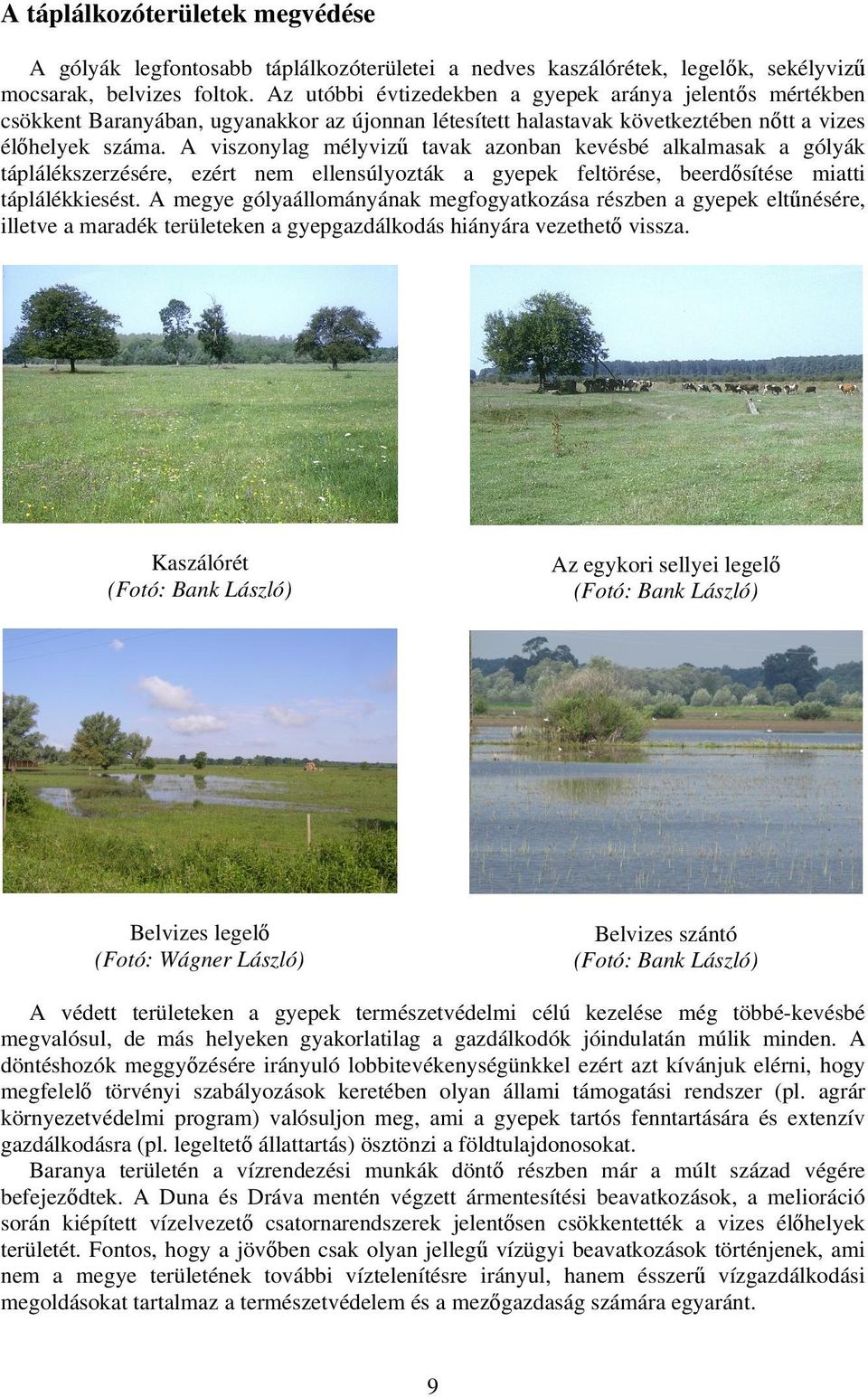 A viszonylag mélyvizű tavak azonban kevésbé alkalmasak a gólyák táplálékszerzésére, ezért nem ellensúlyozták a gyepek feltörése, beerdősítése miatti táplálékkiesést.