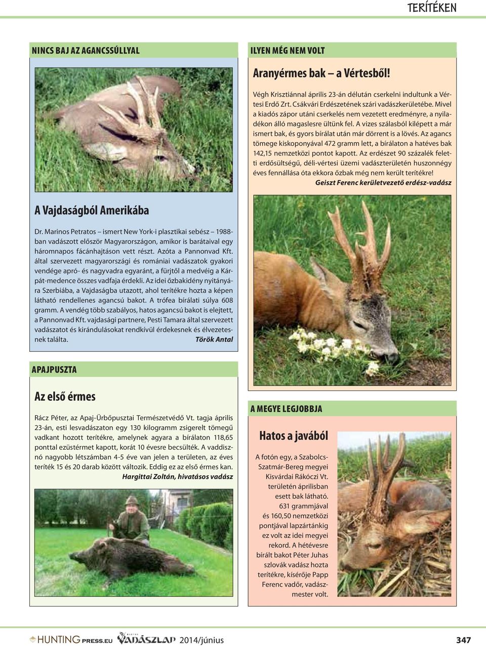 A vizes szálasból kilépett a már ismert bak, és gyors bírálat után már dörrent is a lövés. Az agancs tömege kiskoponyával 472 gramm lett, a bírálaton a hatéves bak 142,15 nemzetközi pontot kapott.