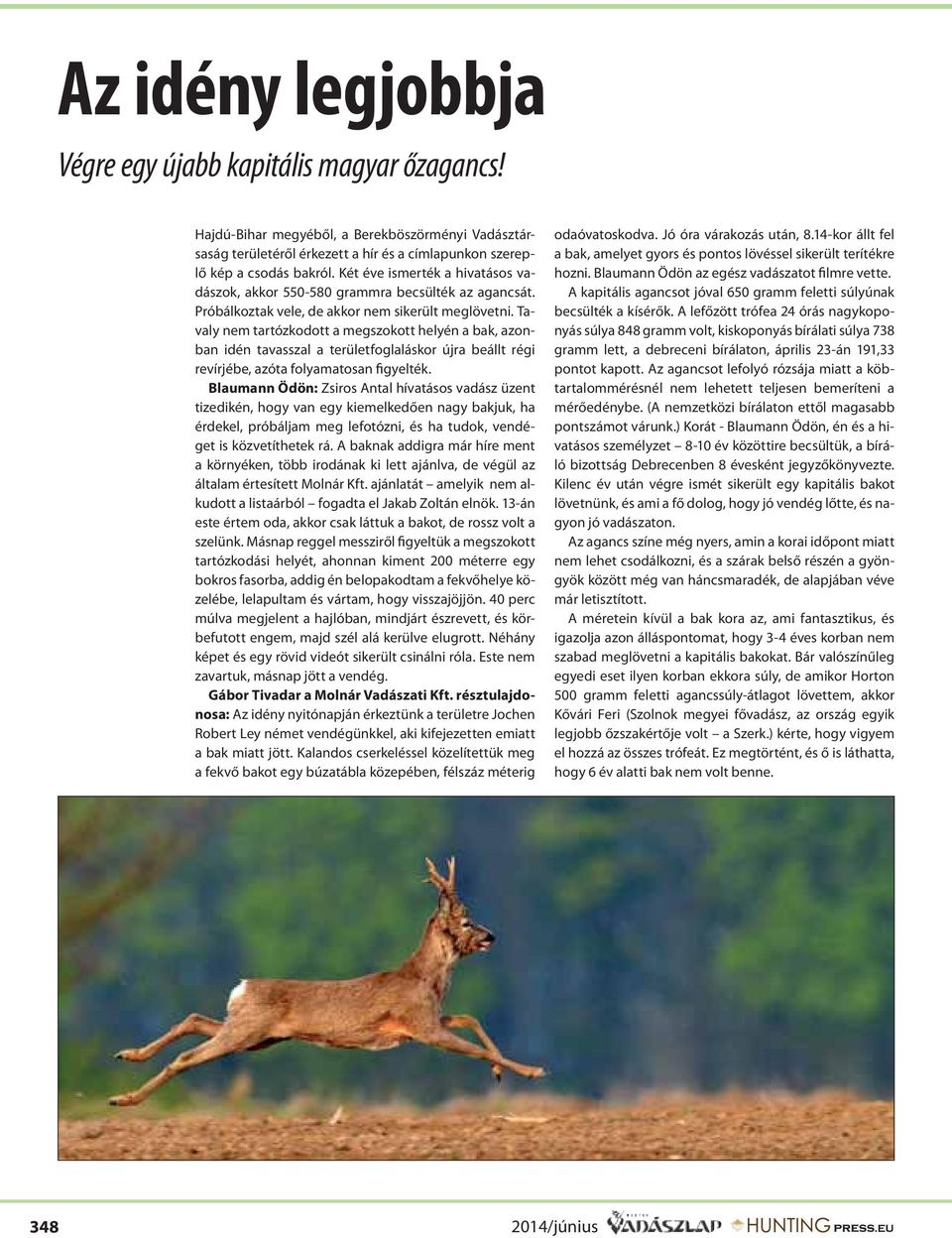 Tavaly nem tartózkodott a megszokott helyén a bak, azonban idén tavasszal a területfoglaláskor újra beállt régi revírjébe, azóta folyamatosan figyelték.