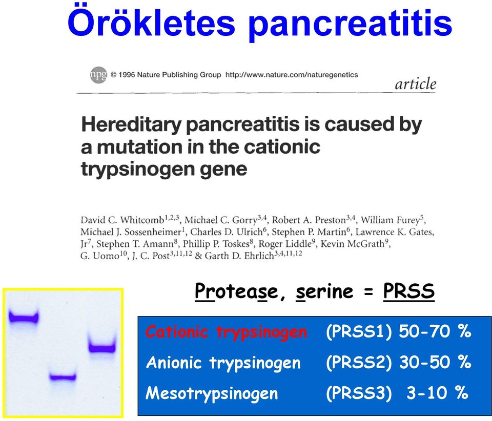 (PRSS1) 50-70 % Anionic trypsinogen