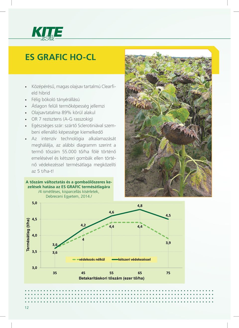 000 tő/ha fölé történő emelésével és kétszeri gombák ellen történő védekezéssel termésátlaga megközelíti az 5 t/ha-t!