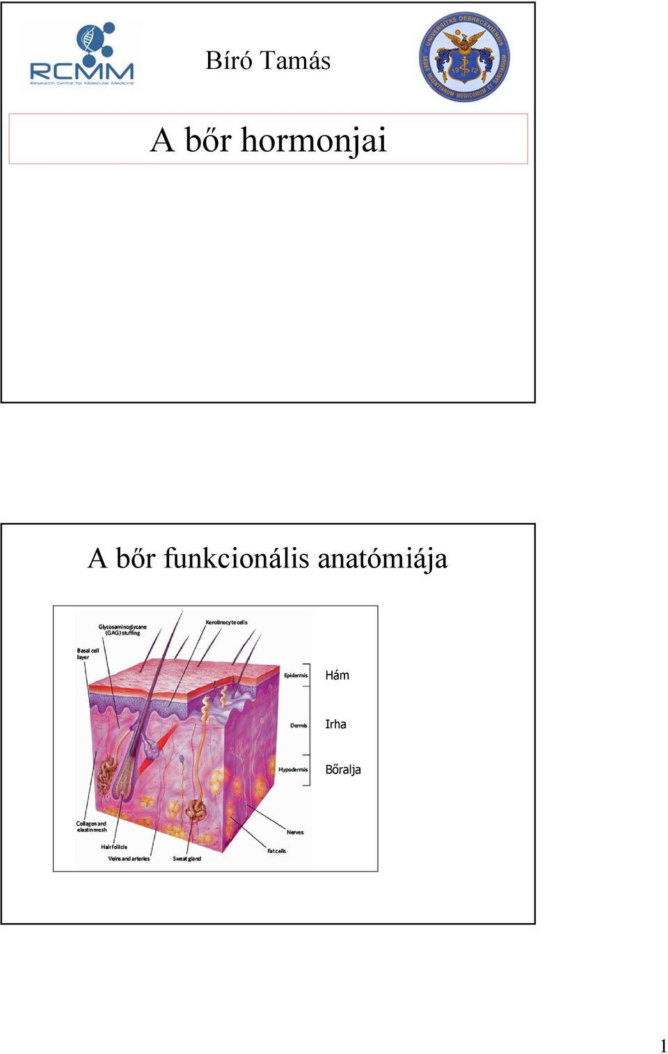 funkcionális