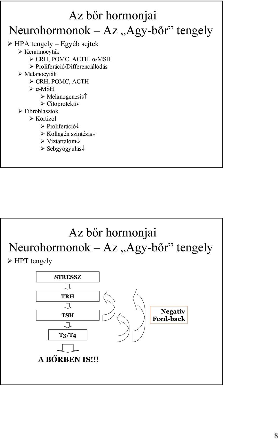 Melanogenesis Citoprotektív Fibroblasztok Kortizol Proliferáció Kollagén