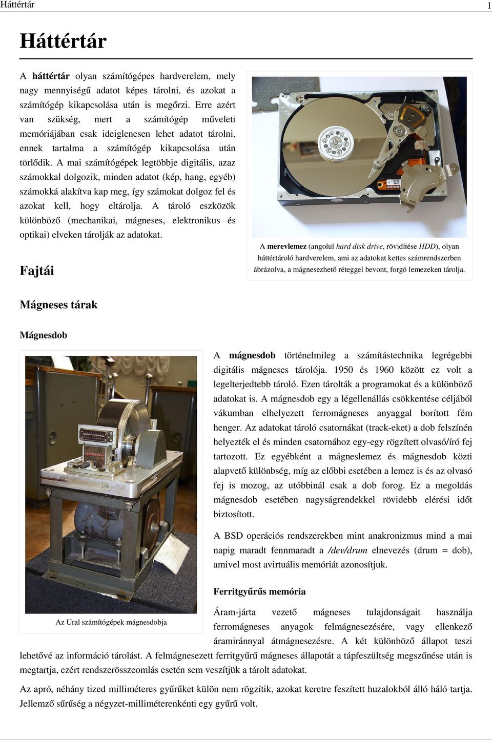 A mai számítógépek legtöbbje digitális, azaz számokkal dolgozik, minden adatot (kép, hang, egyéb) számokká alakítva kap meg, így számokat dolgoz fel és azokat kell, hogy eltárolja.