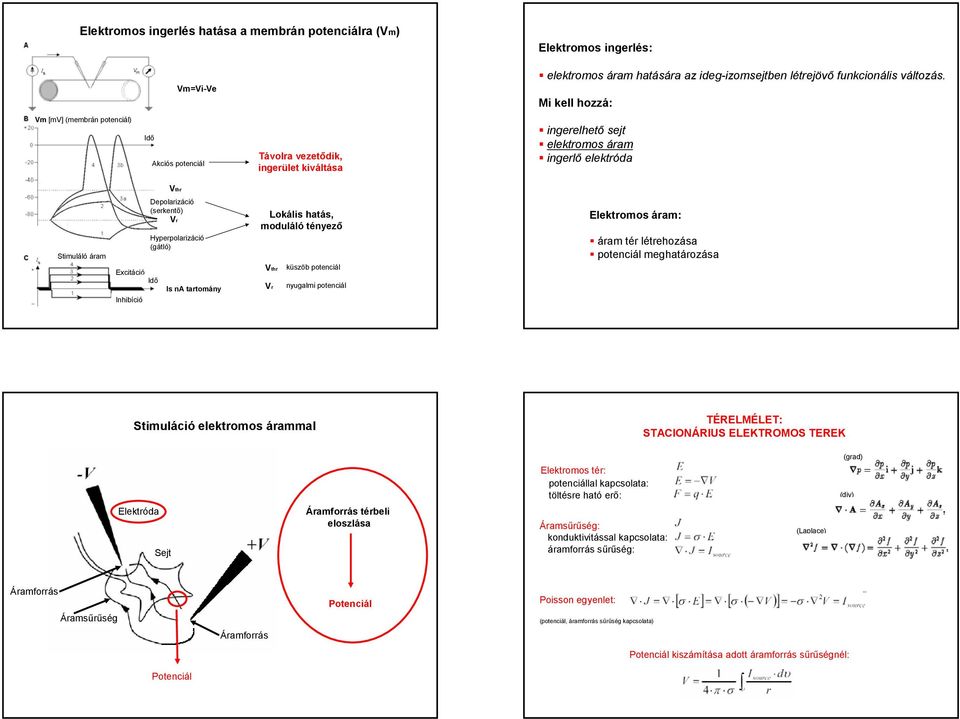 Hyperpolarizáció (gátló) Excitáció Idő Is na tartomány Inhibíció Lokális hatás, moduláló tényező Vthr Vr küszöb potenciál nyugalmi potenciál Elektromos áram: áram tér létrehozása potenciál