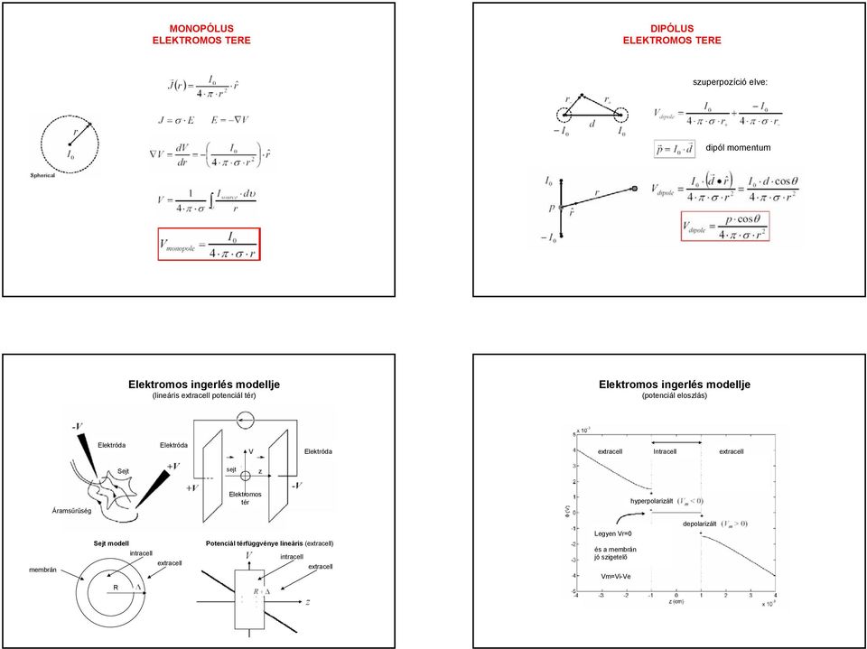 Intracell extracell Sejt sejt z Áramsűrűség Elektromos tér hyperpolarizált membrán Sejt modell intracell