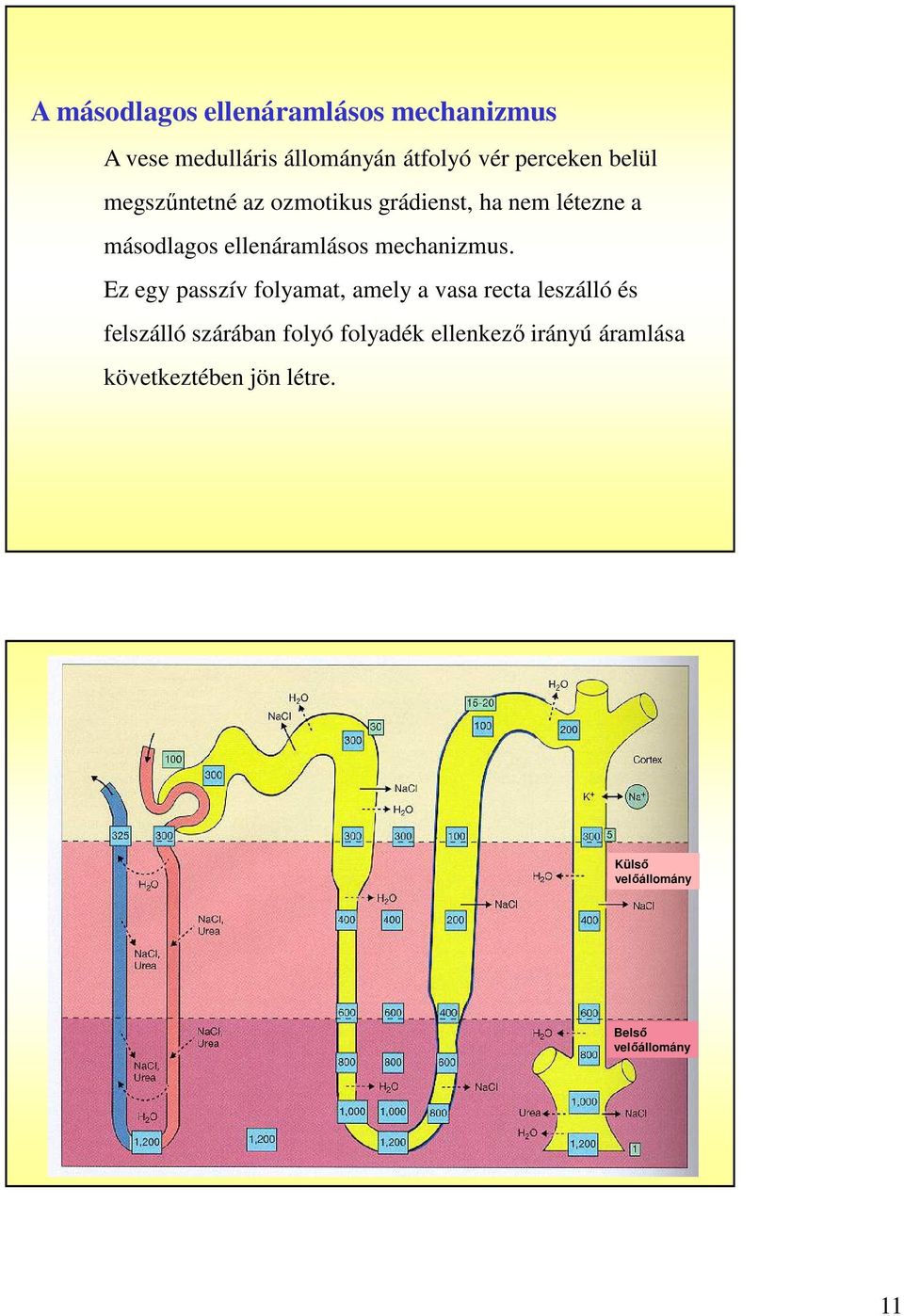 mechanizmus.