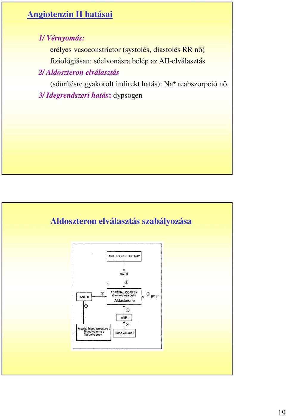 Aldoszteron elválasztás (sóürítésre gyakorolt indirekt hatás): Na +