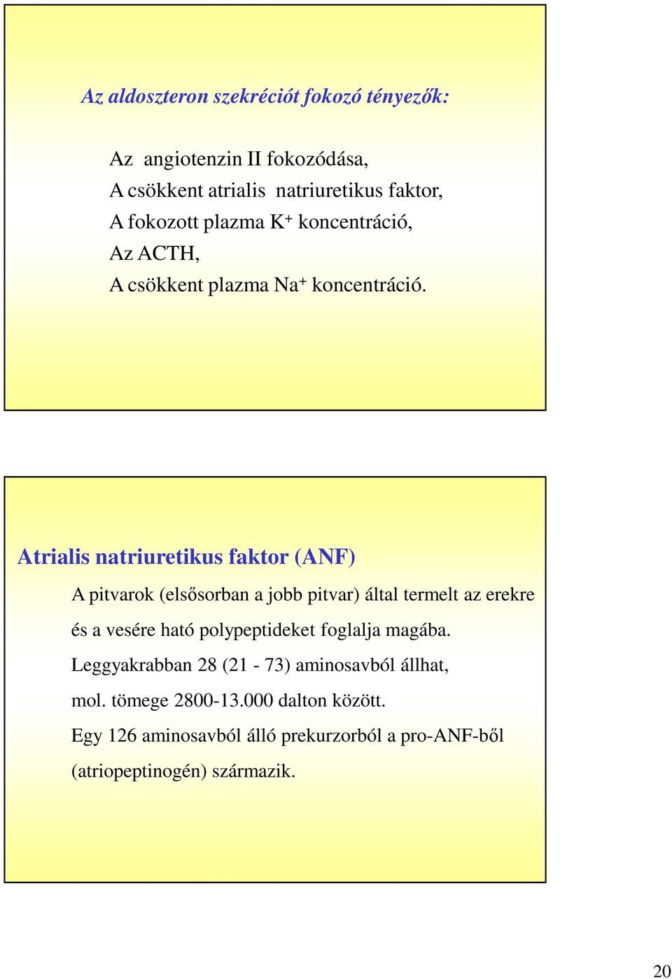 Atrialis natriuretikus faktor (ANF) A pitvarok (elsősorban a jobb pitvar) által termelt az erekre és a vesére ható