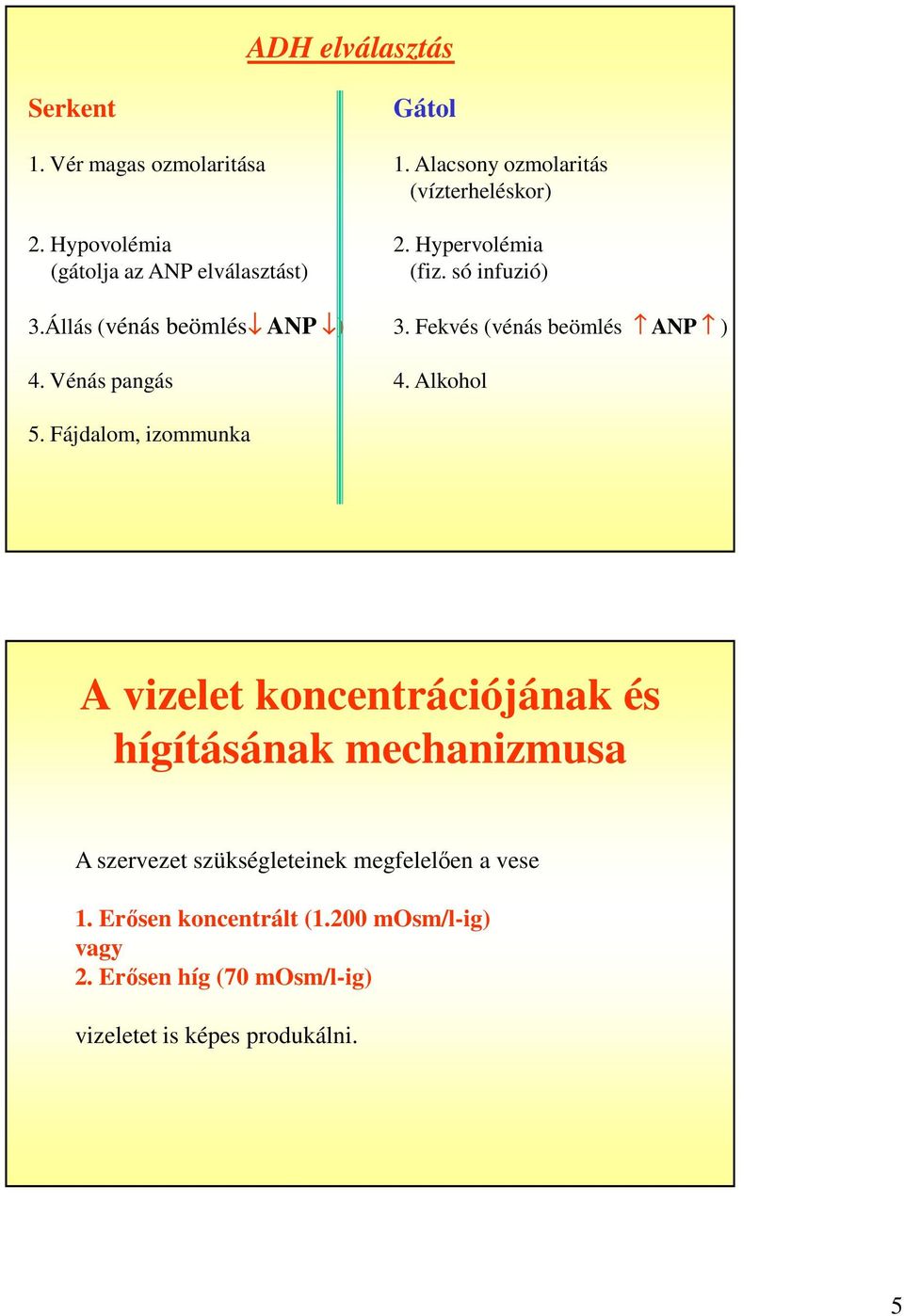 Vénás pangás 4. Alkohol 5.