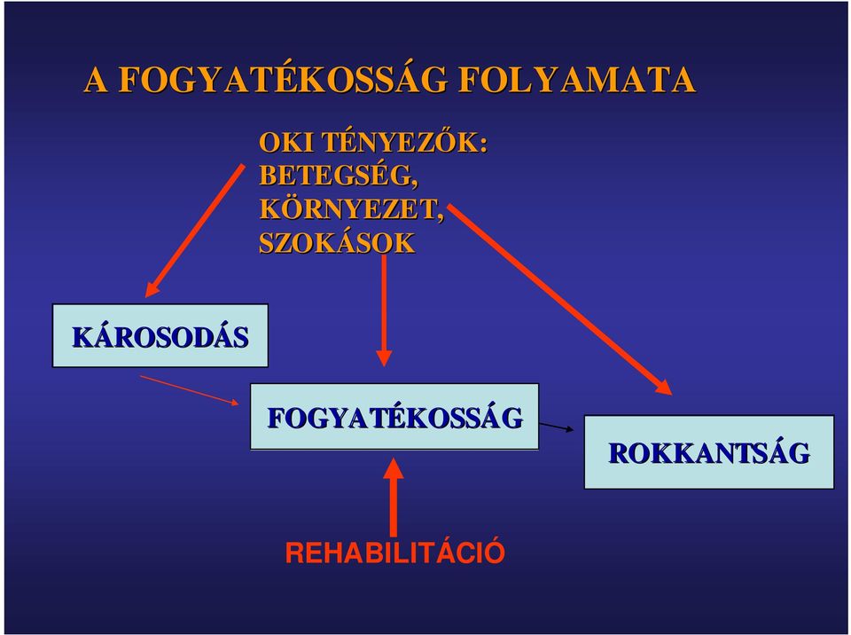 KÖRNYEZET, SZOKÁSOK SOK KÁROSOD