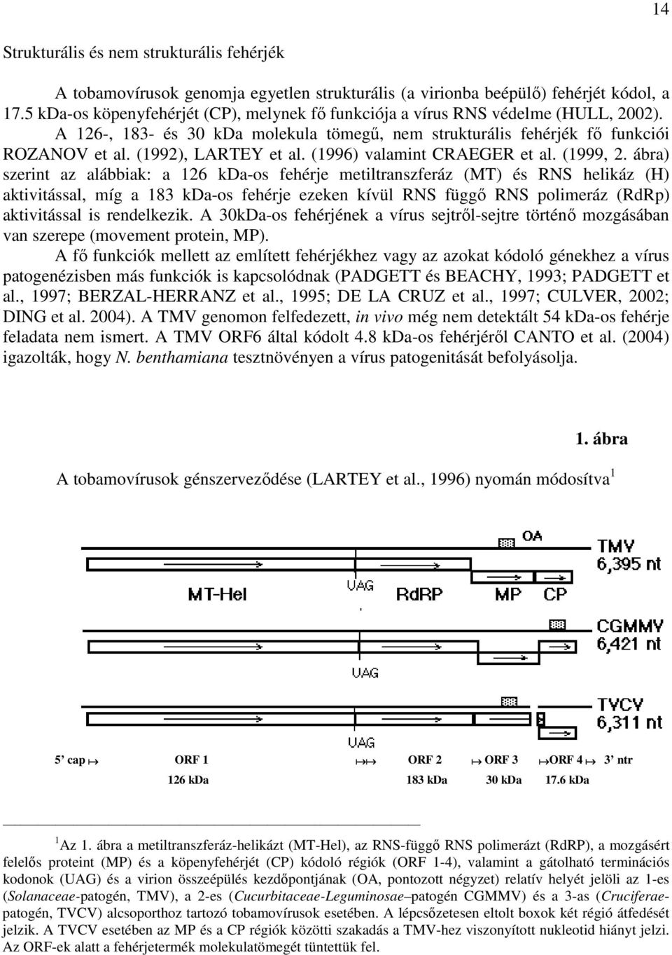 (1996) valamint CRAEGER et al. (1999, 2.