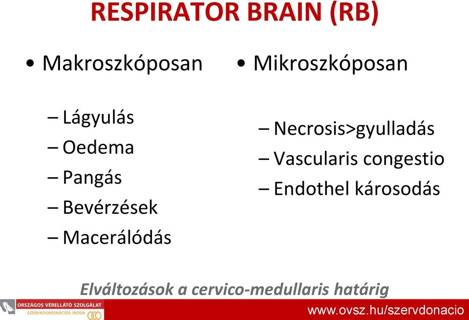 Macerálódás Necrosis>gyulladás Vascularis