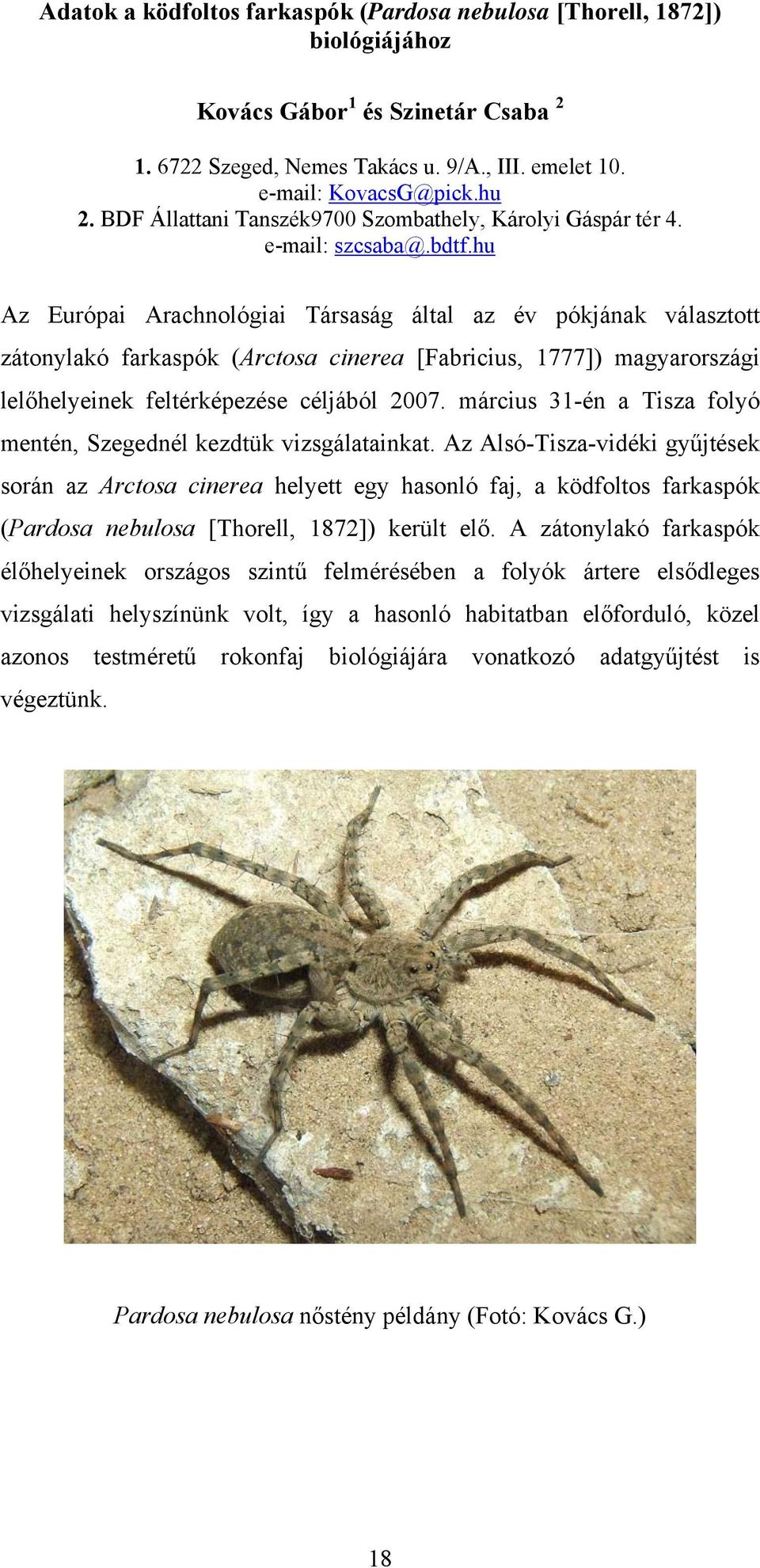 hu Az Európai Arachnológiai Társaság által az év pókjának választott zátonylakó farkaspók (Arctosa cinerea [Fabricius, 1777]) magyarországi lelőhelyeinek feltérképezése céljából 2007.