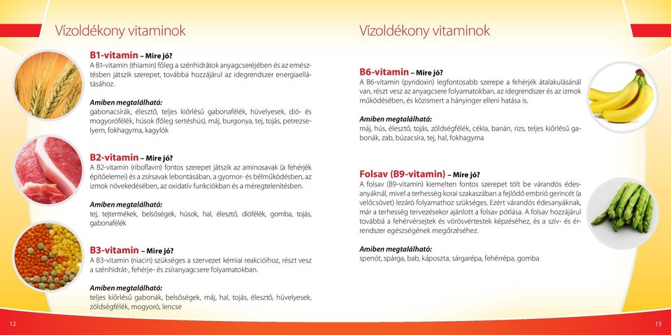 A B2-vitamin (riboflavin) fontos szerepet játszik az aminosavak (a fehérjék építőelemei) és a zsírsavak lebontásában, a gyomor- és bélműködésben, az izmok növekedésében, az oxidatív funkciókban és a