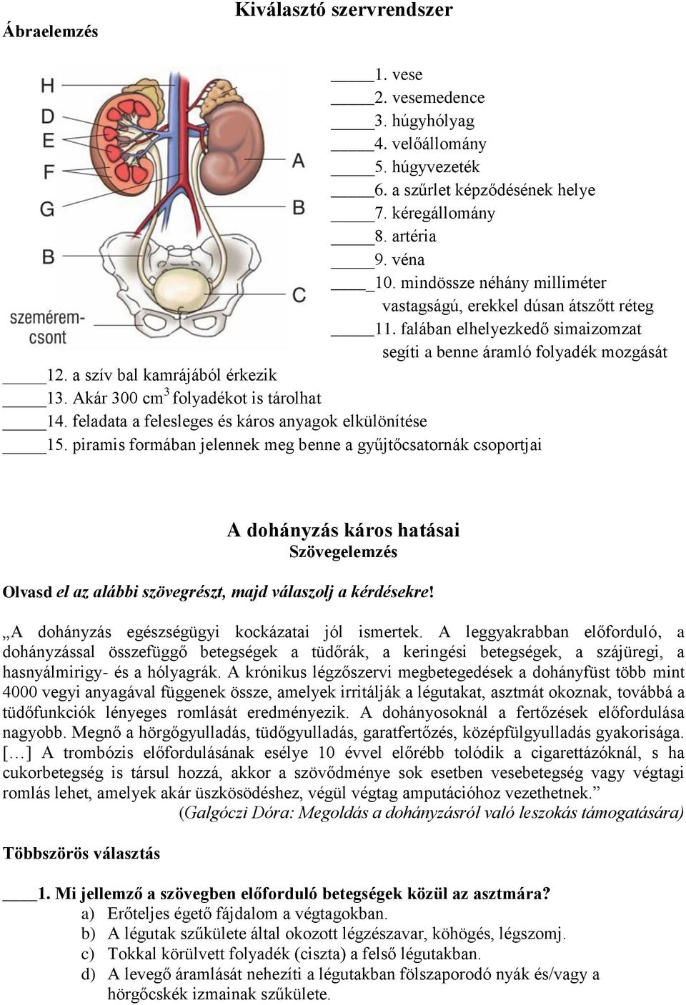 Akár 300 cm 3 folyadékot is tárolhat 14. feladata a felesleges és káros anyagok elkülönítése 15.