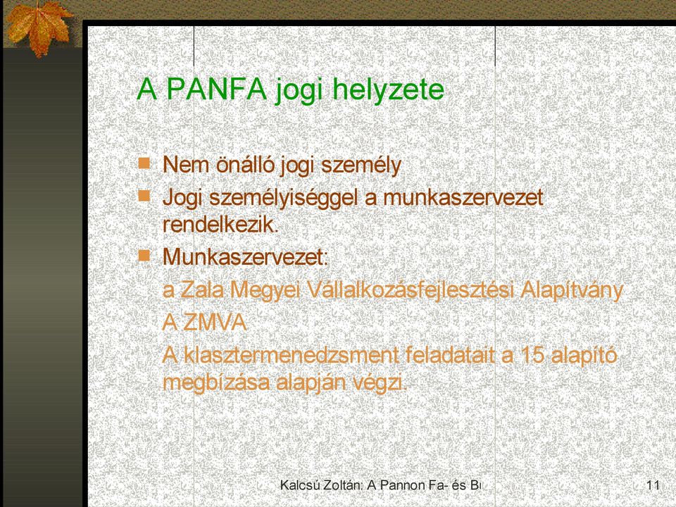 Munkaszervezet: a Zala Megyei Vállalkozásfejlesztési