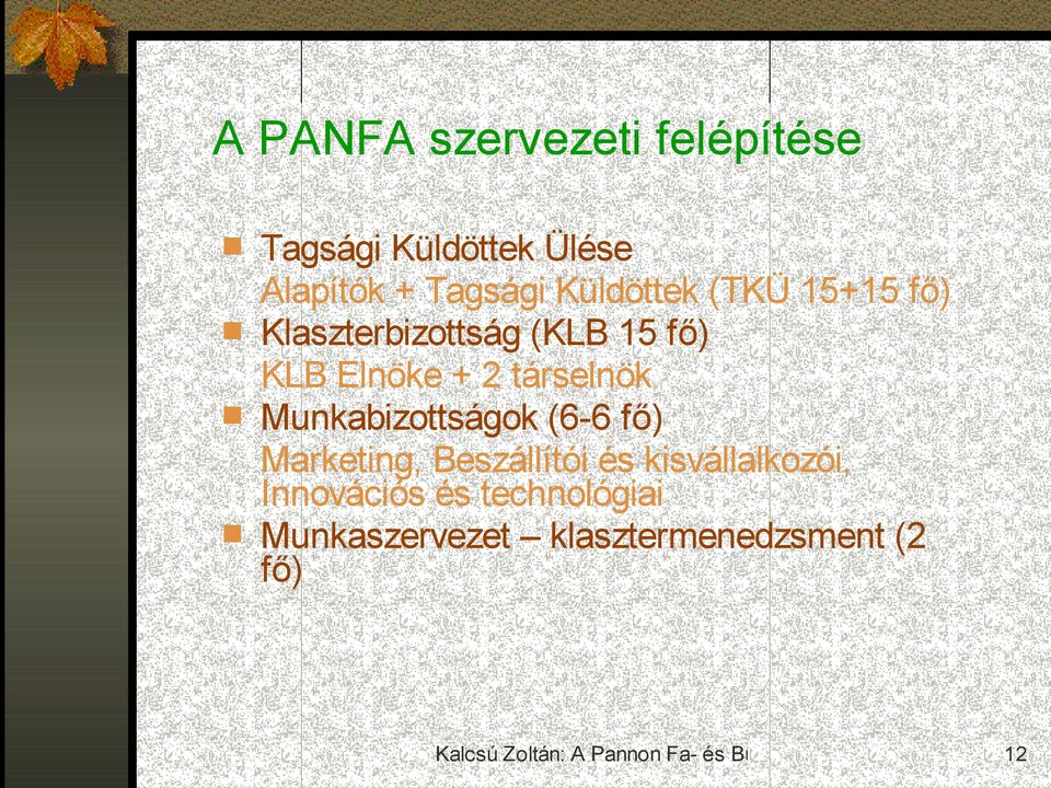 társelnök Munkabizottságok (6-6 fő) Marketing, Beszállítói és