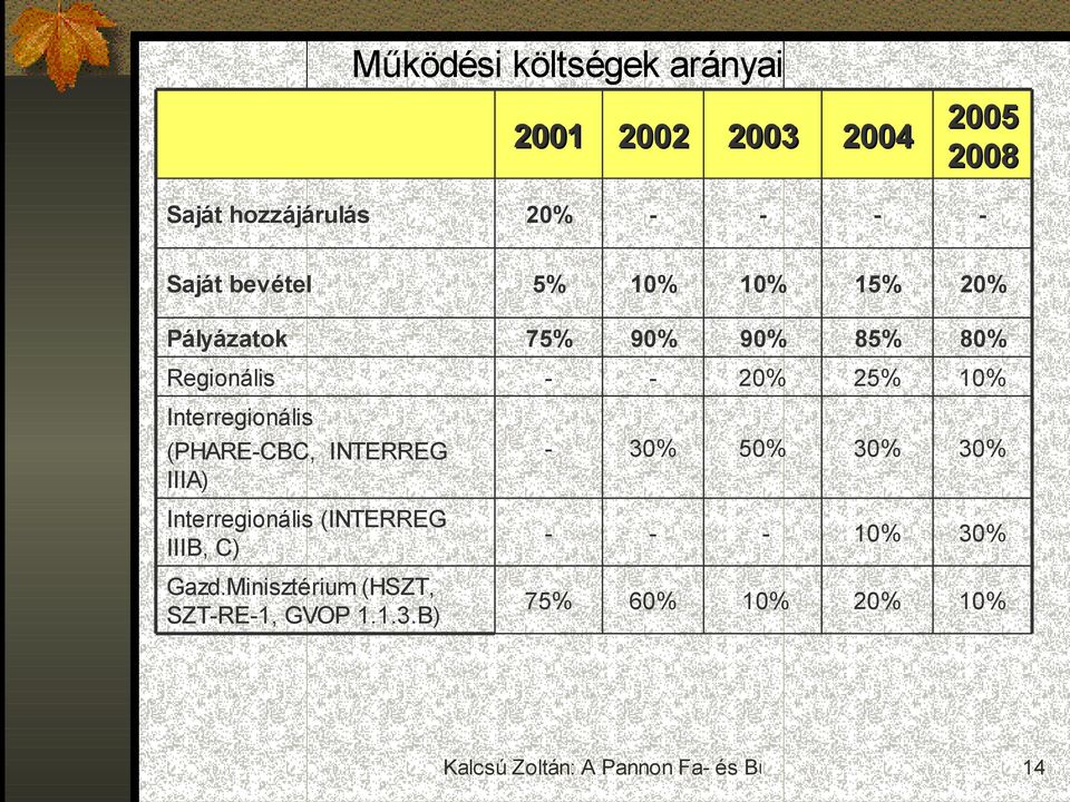 Interregionális (PHARE-CBC, INTERREG IIIA) - 30% 50% 30% 30% Interregionális (INTERREG