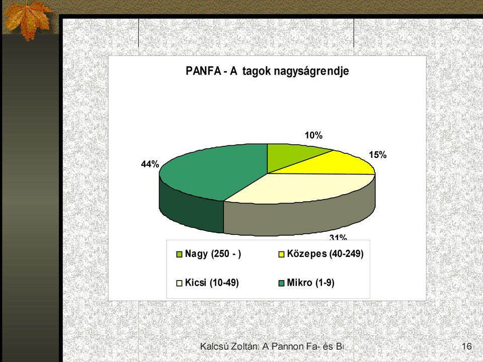 31% Nagy (250 - ) Közepes
