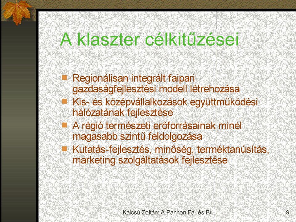 fejlesztése A régió természeti erőforrásainak minél magasabb szintű