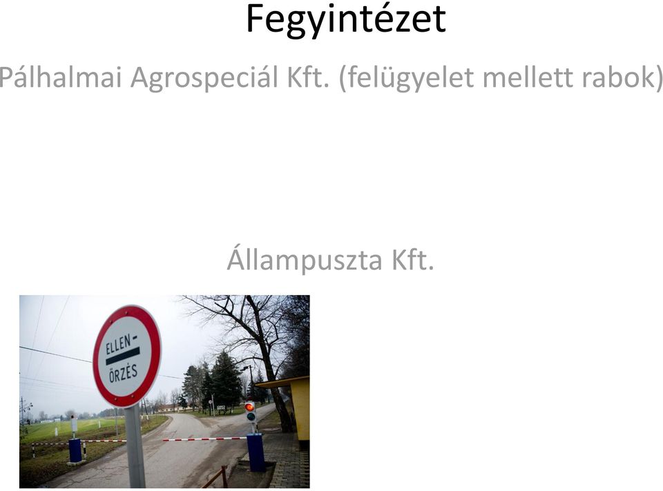 Agrospeciál Kft.