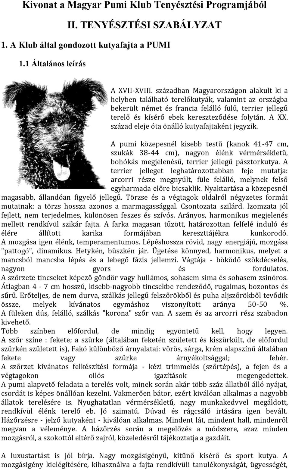 század eleje óta önálló kutyafajtaként jegyzik. A pumi közepesnél kisebb testű (kanok 41-47 cm, szukák 38-44 cm), nagyon élénk vérmérsékletű, bohókás megjelenésű, terrier jellegű pásztorkutya.