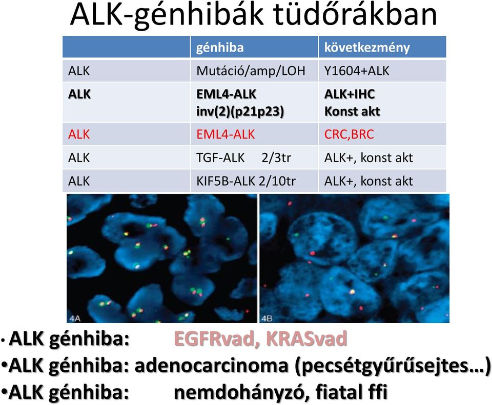 ALK+, konst akt ALK KIF5B-ALK 2/10tr ALK+, konst akt ALK génhiba: EGFRvad,