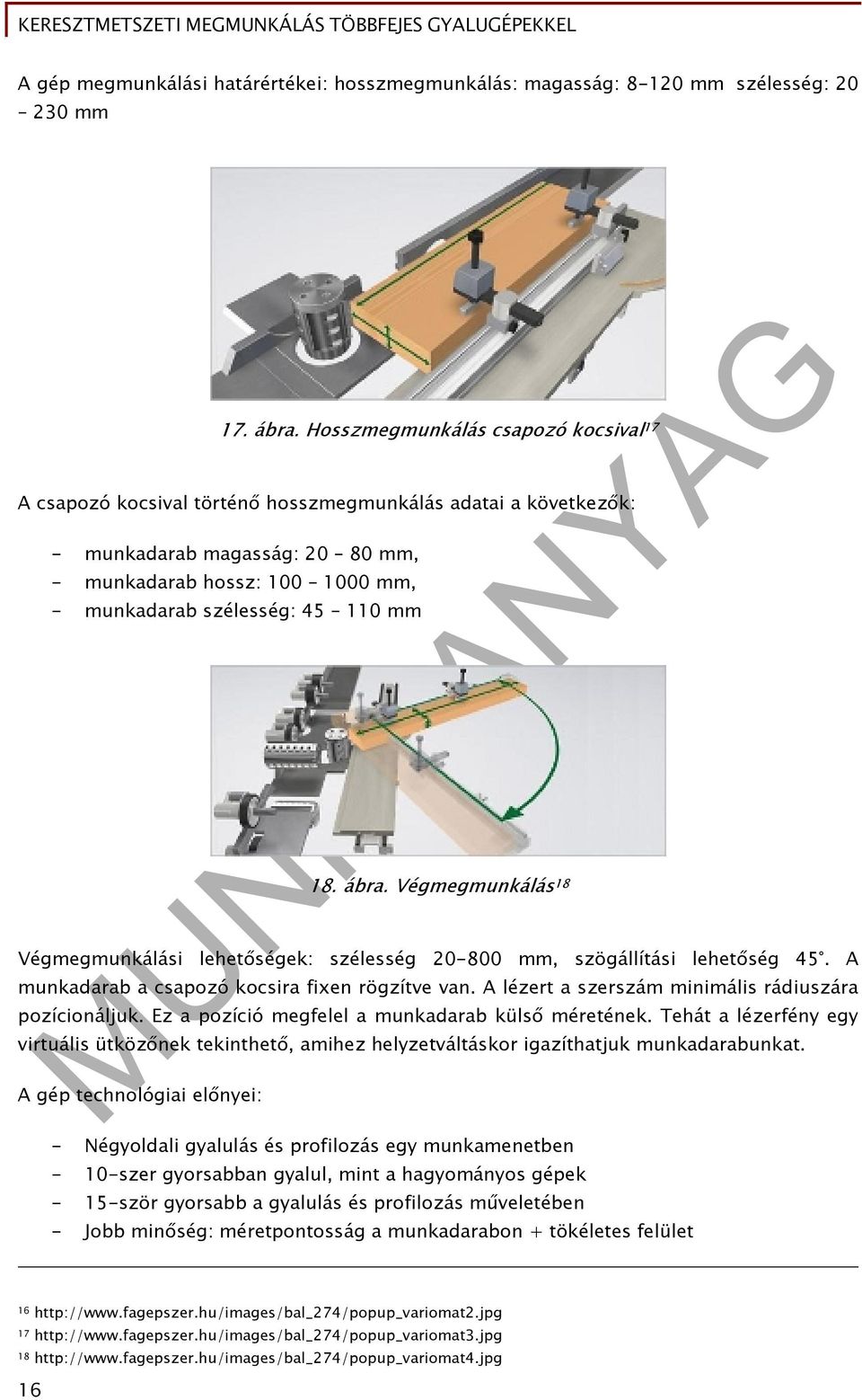 mm 18. ábra. Végmegmunkálás 18 Végmegmunkálási lehetőségek: szélesség 20-800 mm, szögállítási lehetőség 45. A munkadarab a csapozó kocsira fixen rögzítve van.