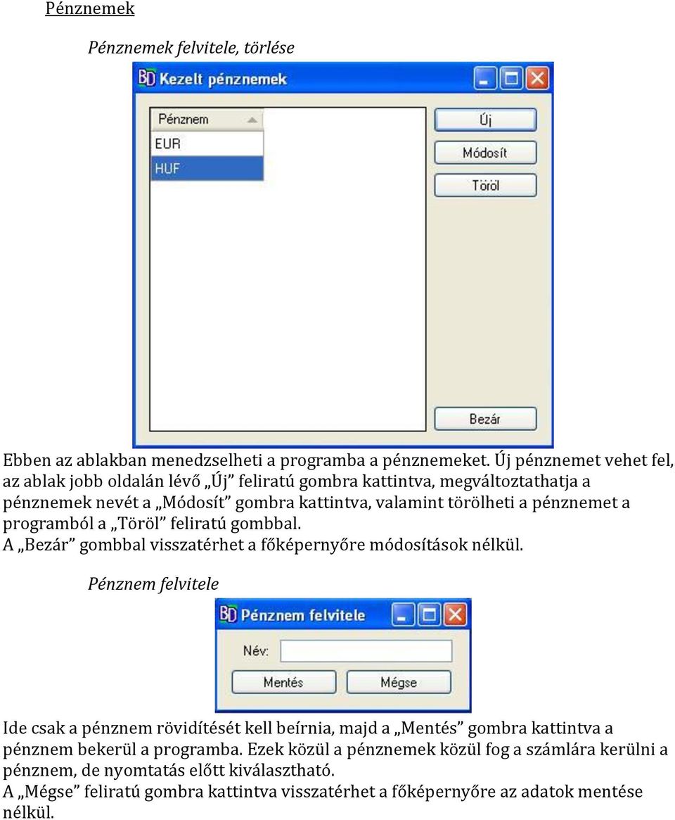 pénznemet a programból a Töröl feliratú gombbal. A Bezár gombbal visszatérhet a főképernyőre módosítások nélkül.